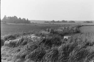 krondiket, Åkersberga