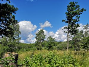 Domarringen, Norrön, Åkersberga