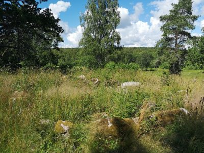 Domarringen, Norrön, Åkersberga