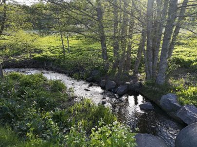 Smedbyån, Åkersberga