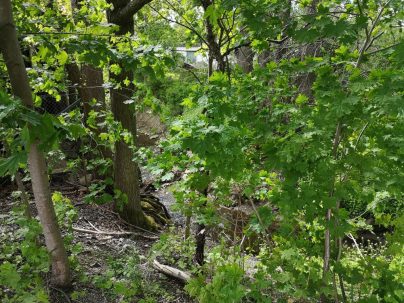 Smedbyån, Åkersberga